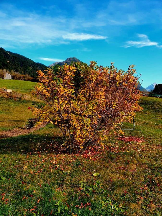 Loretz Liane Sankt Gallenkirch Esterno foto